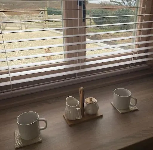 Dolmen Lodge. Apartmán *